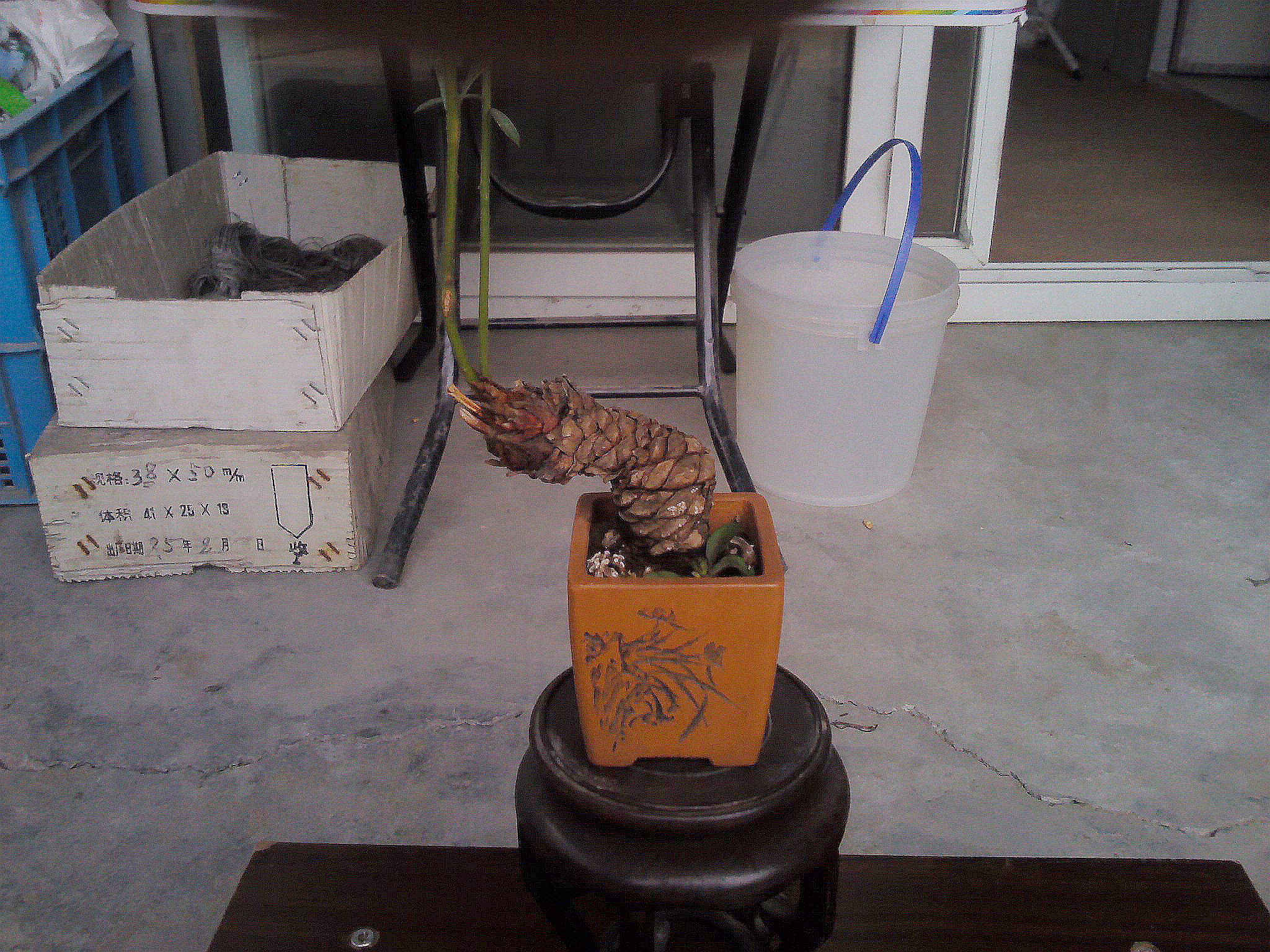 IMG_20130504_105945.jpg