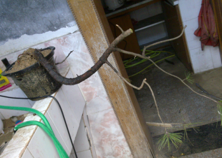 QQͼ20130508093533.png