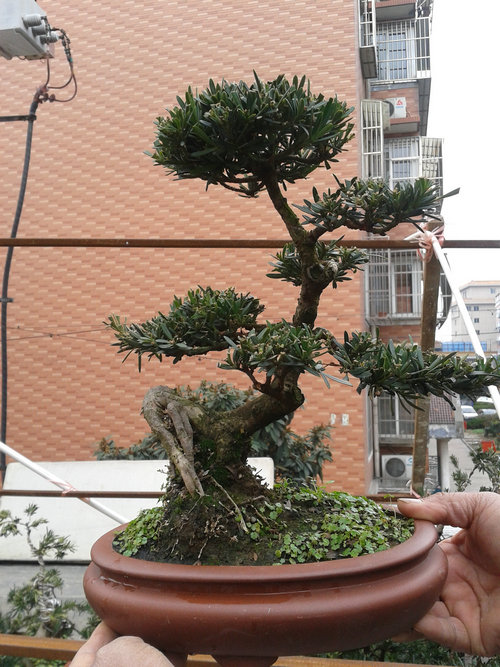 2013-02-11 13.32.36.jpg