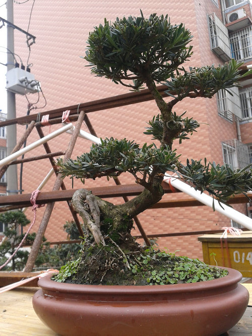 2013-02-11 13.34.57.jpg