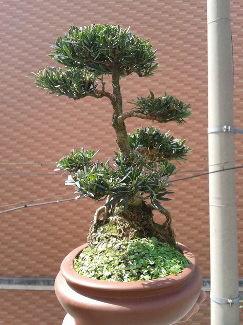 2013-03-15 13.01.40.jpg