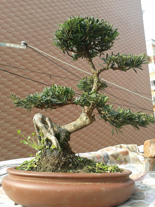 2013-01-08 13.08.28.jpg