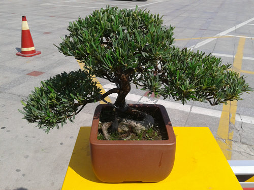 2013-02-24 12.18.58.jpg