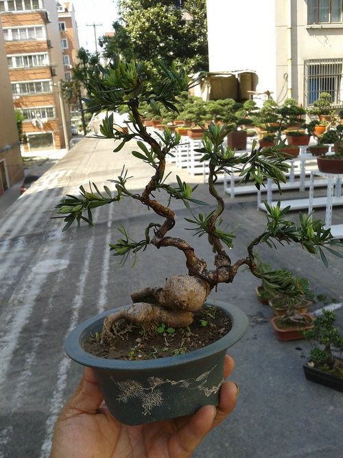 2013-04-30 14.13.38.jpg