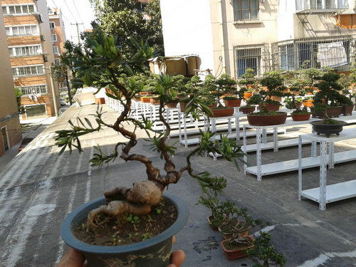 2013-04-30 14.13.09.jpg