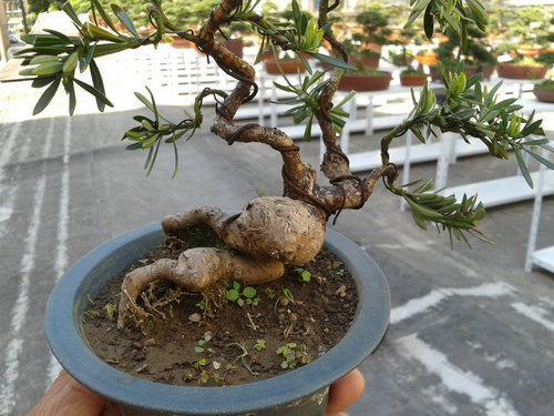 2013-04-30 14.13.21.jpg