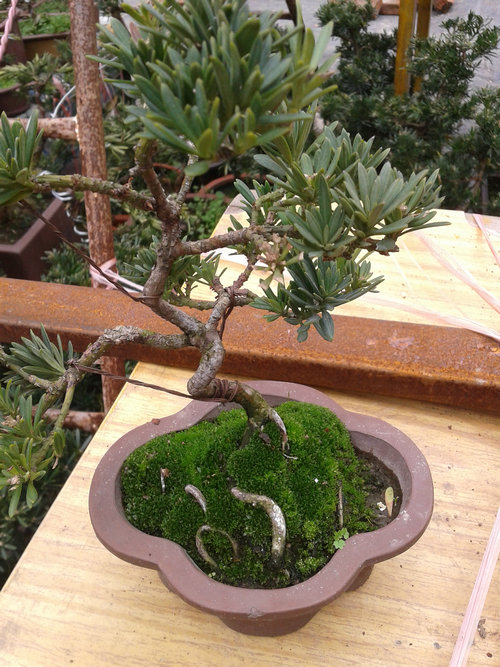 2013-02-11 13.34.34.jpg