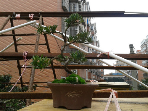 2013-02-11 13.34.13.jpg