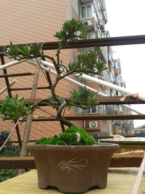 2013-02-11 13.34.25.jpg