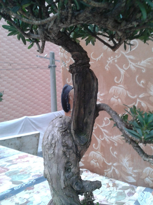2013-01-12 16.33.25.jpg