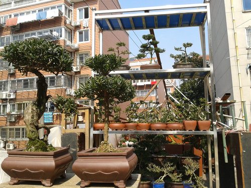 2013-03-03 11.50.37.jpg