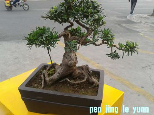 2013-04-17 17.31.26.jpg
