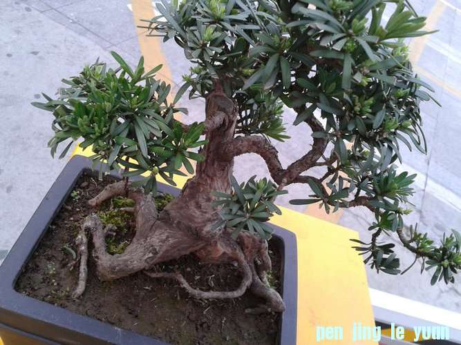 2013-04-17 17.33.14.jpg