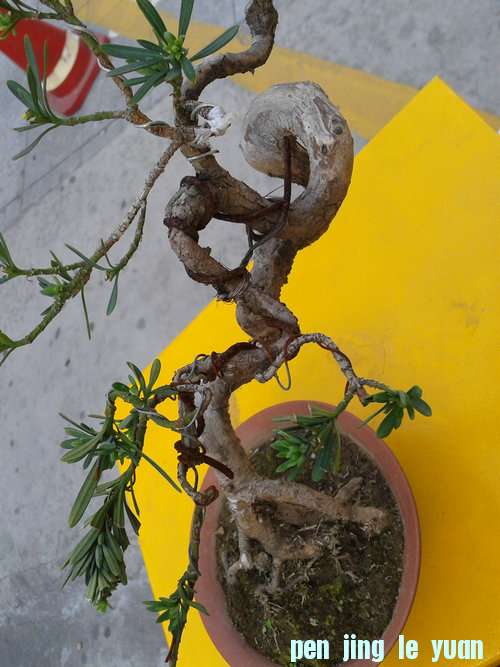 2013-04-15 17.28.16.jpg