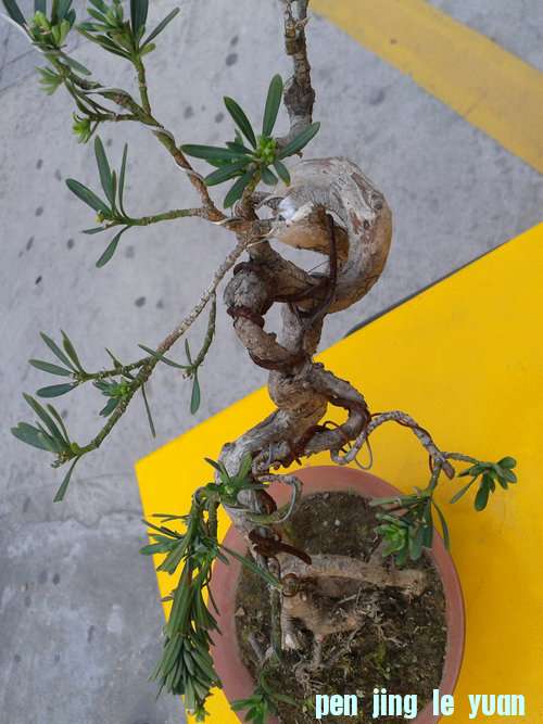 2013-04-15 17.29.34.jpg