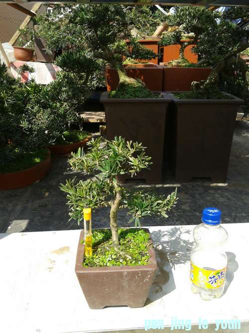 2013-03-15 13.32.52.jpg