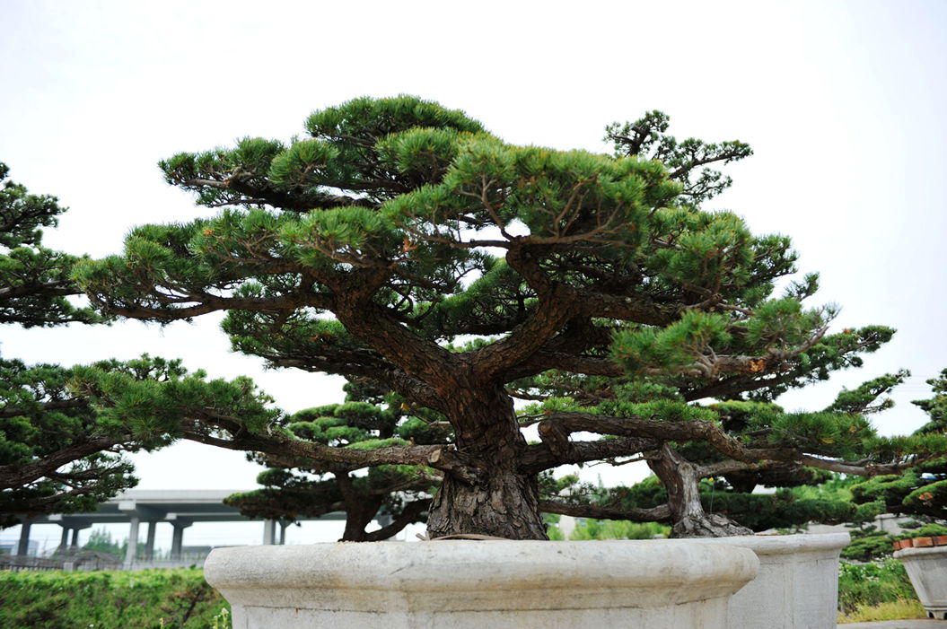 DSC_1367_.jpg
