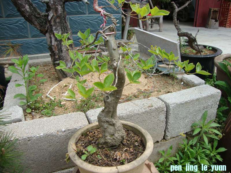 DSC01066_.jpg