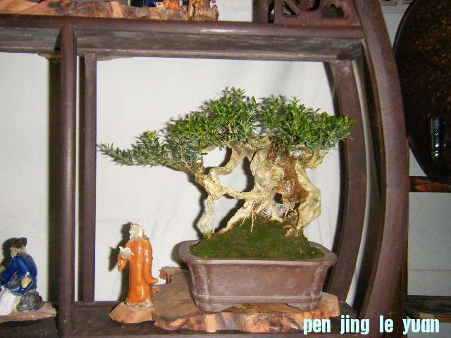 Ƭ 670.jpg
