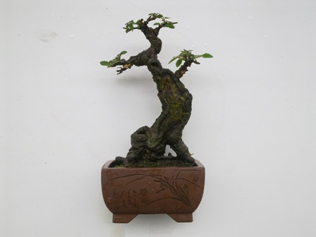 20130506656.jpg