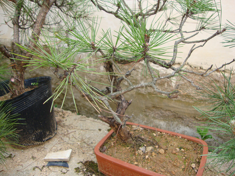 DSC01059_.jpg