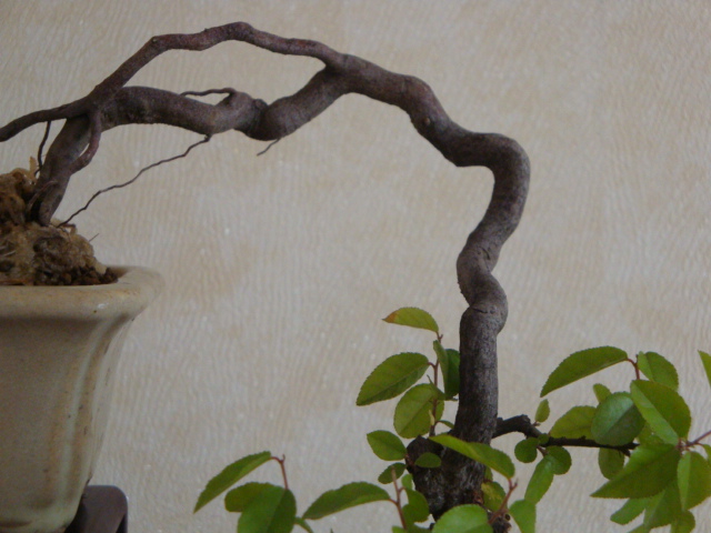 DSC03793.JPG
