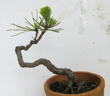 20130505647.jpg