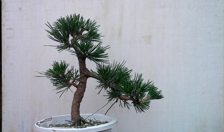 IMG0510112800.jpg