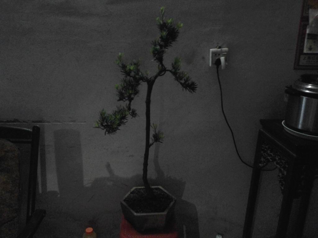 20130511_193710.jpg