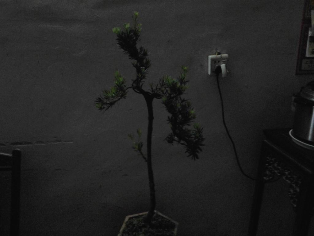 20130511_193736.jpg