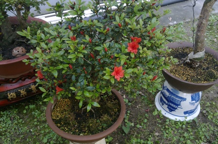 20130505642.jpg