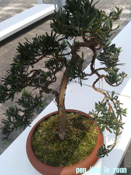 2013-05-11 13.48.19.jpg
