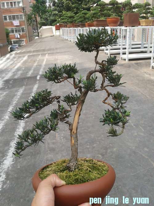 2013-05-11 13.46.42.jpg