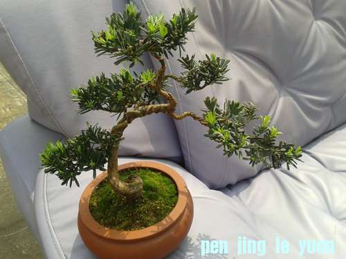 2013-05-11 13.40.33.jpg