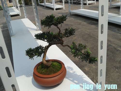 2013-05-11 13.42.42.jpg