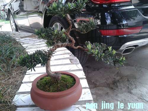 2013-05-11 13.32.24.jpg
