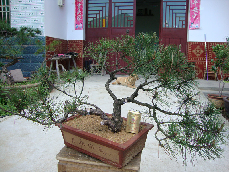DSC01067_.jpg