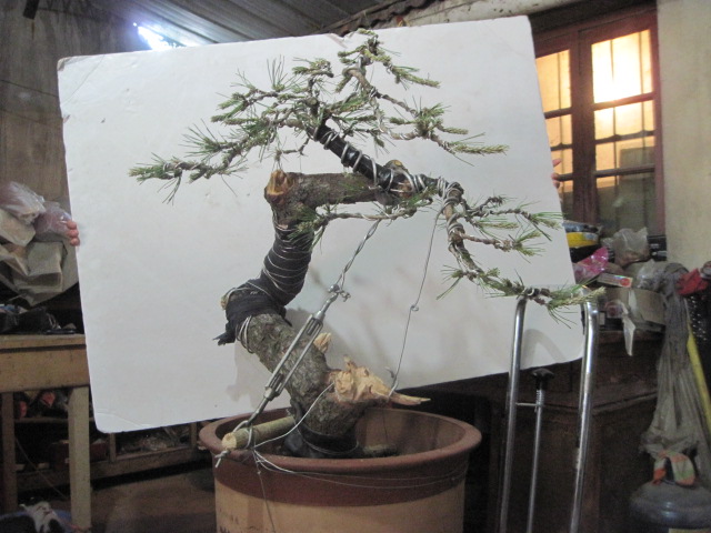 0512���� 001.jpg