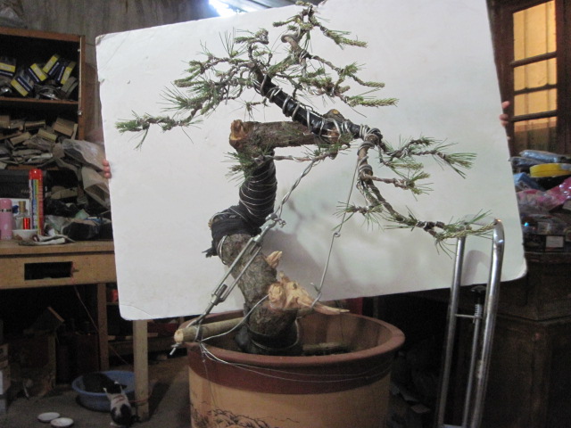 0512���� 002.jpg