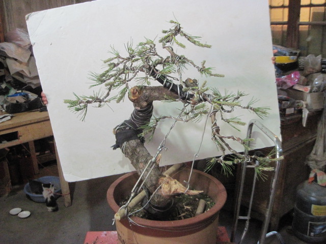 0512���� 003.jpg