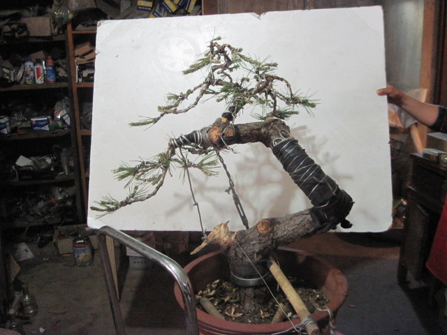 0512���� 004.jpg