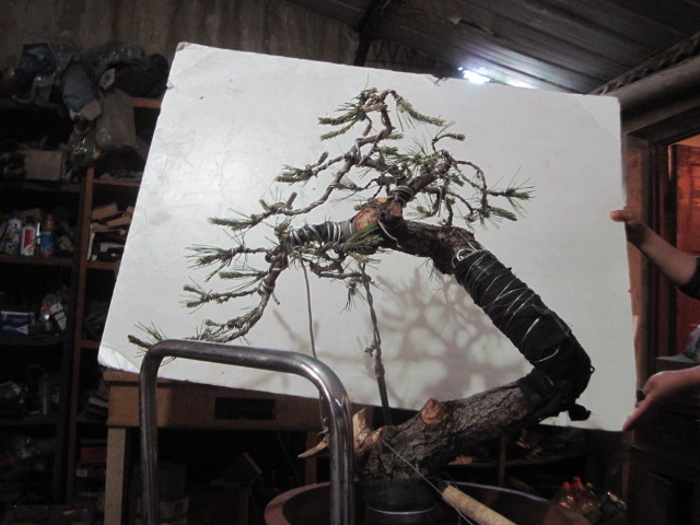 0512���� 005.jpg