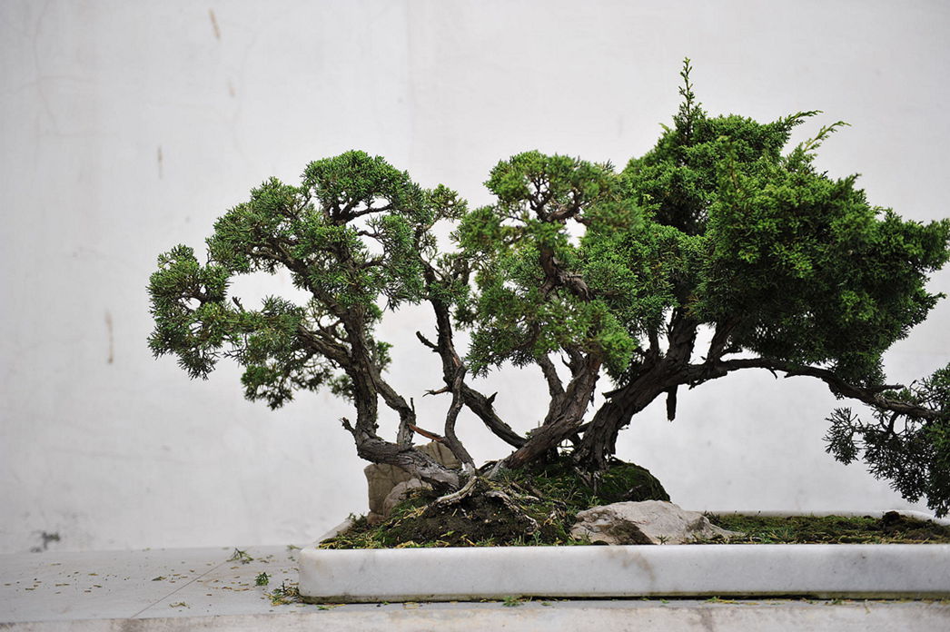 DSC_1499__.jpg