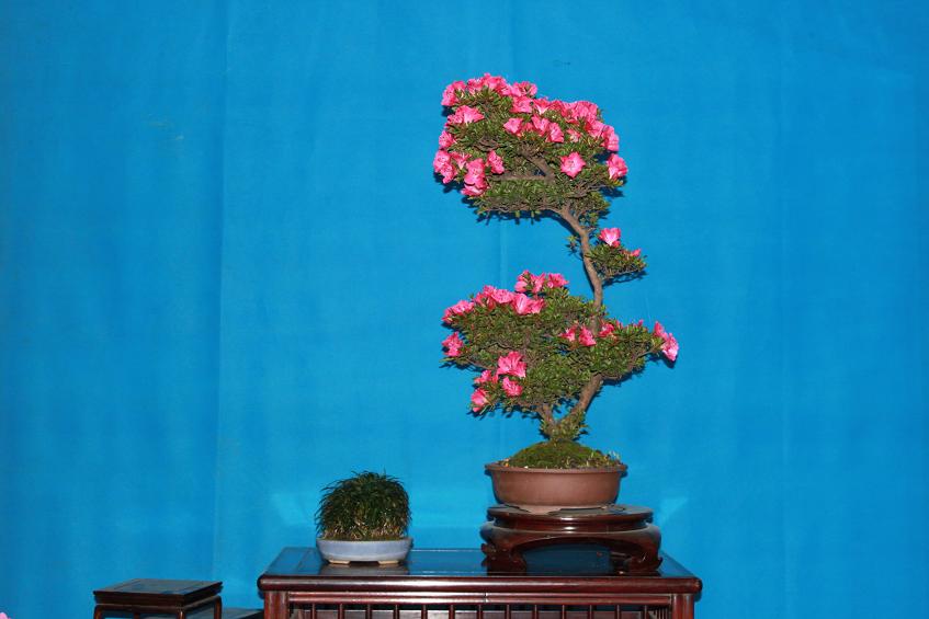 Ƭ 021.jpg
