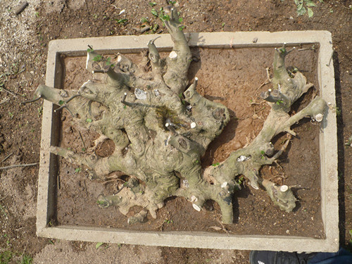 P1040161_.jpg