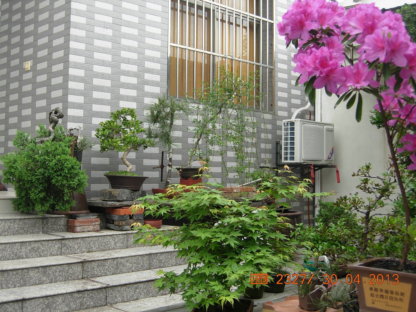 DSCN6836.JPG