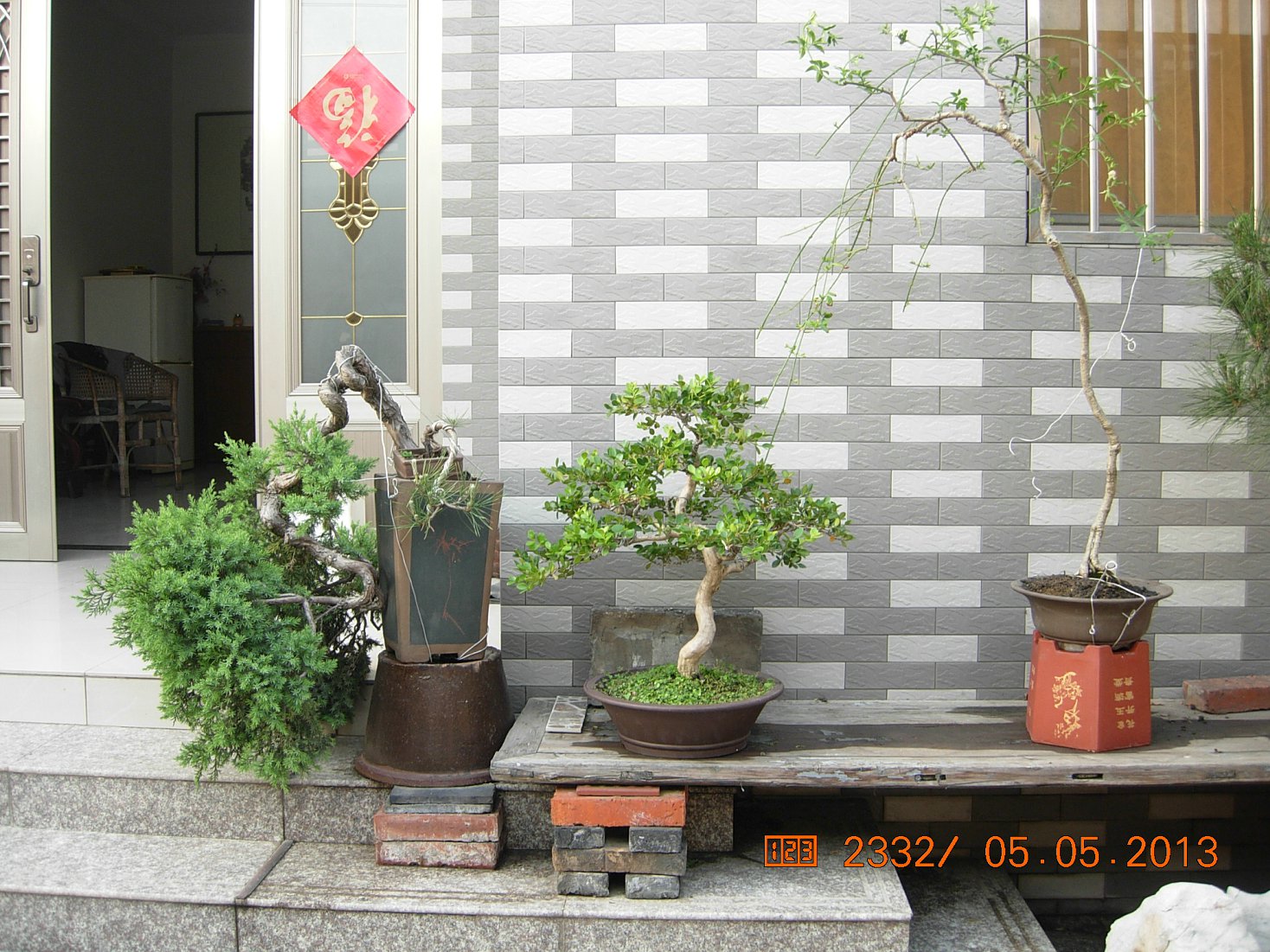 DSCN6855.JPG