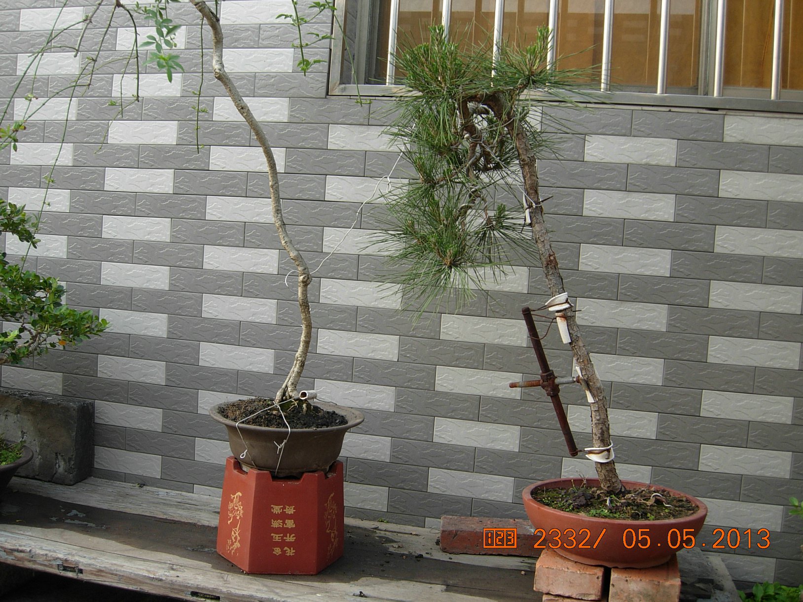 DSCN6857.JPG