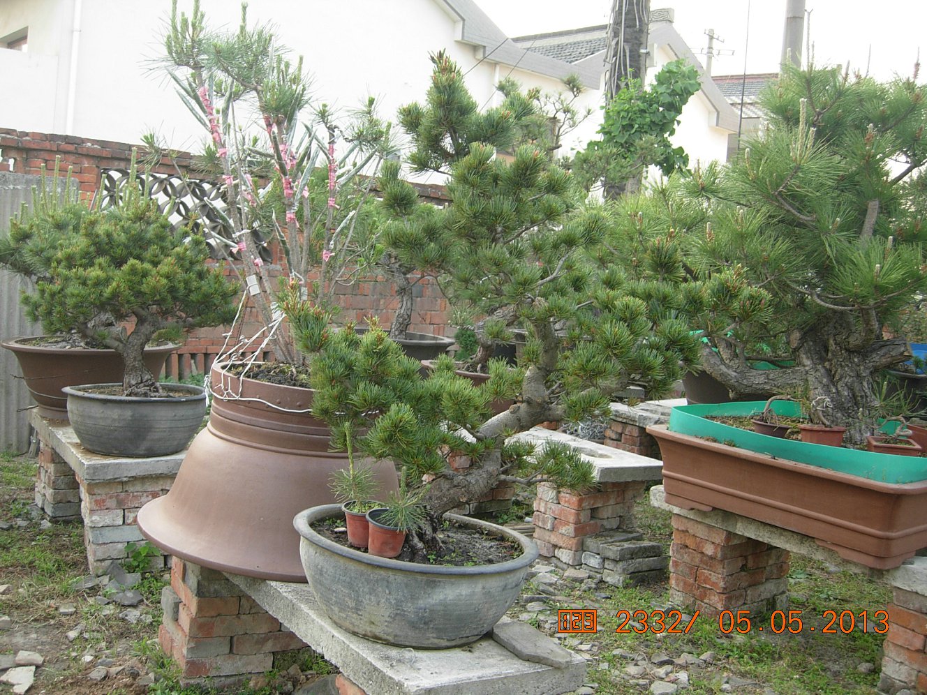 DSCN6862.JPG