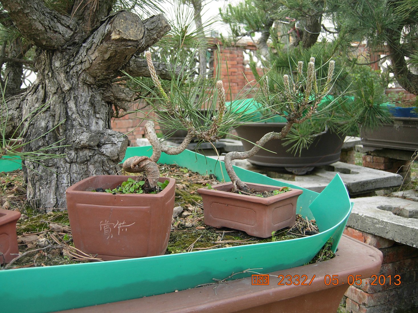 DSCN6863.JPG
